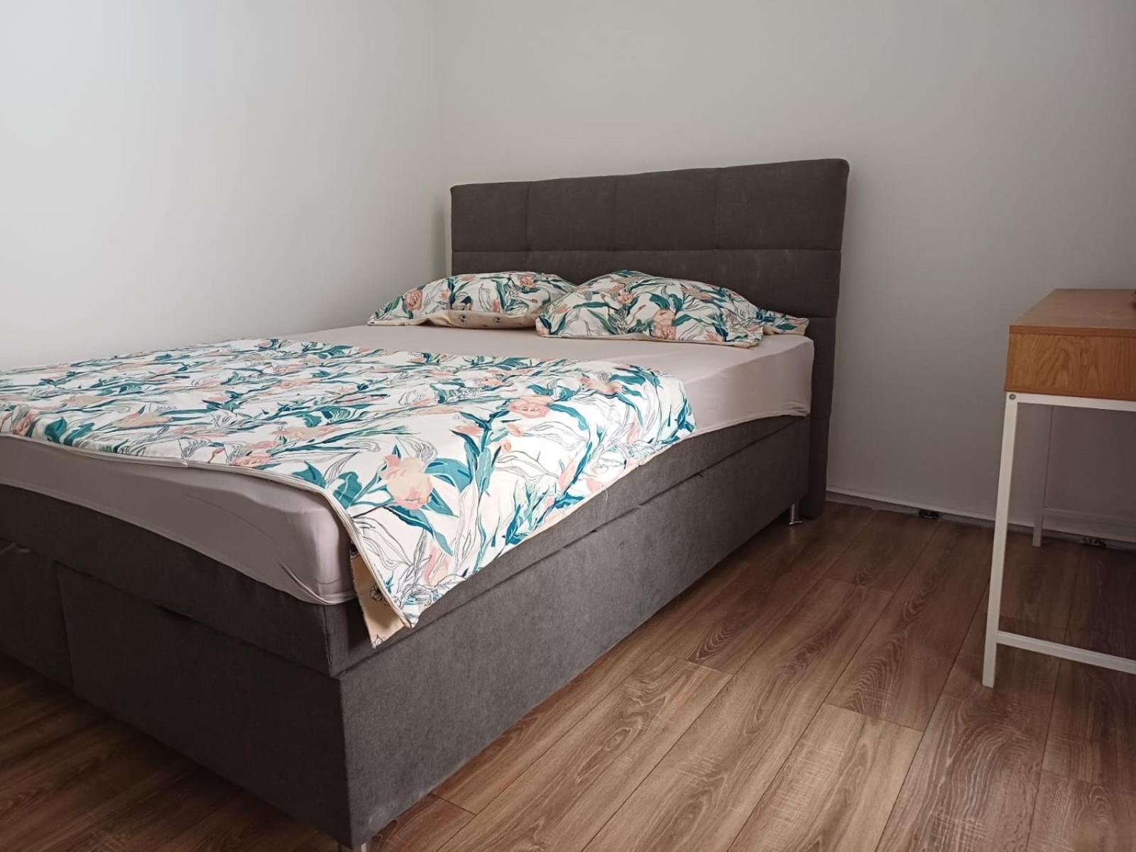 דירות רייקה Apartman Vita מראה חיצוני תמונה